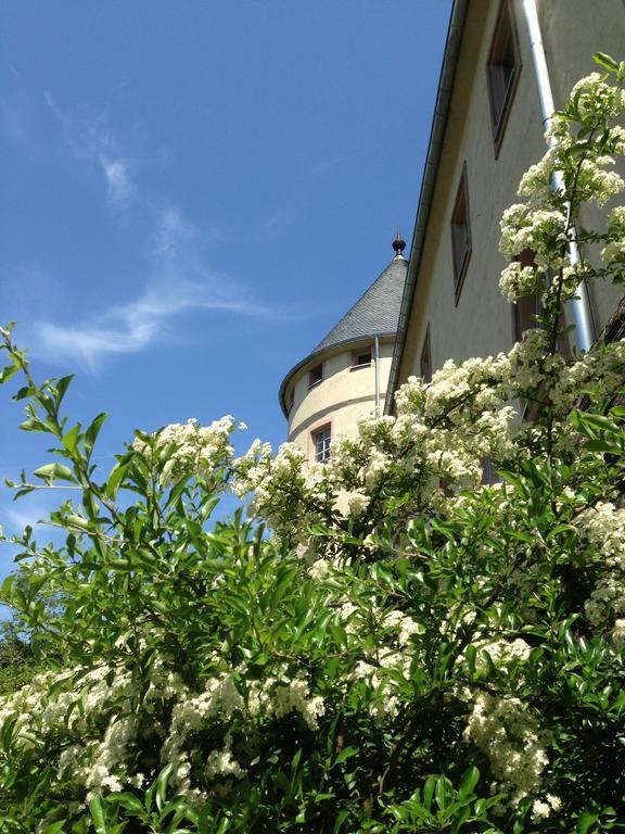 Ev.Familienferien-Und Bildungsstaette Ebernburg Hotel Bad Munster am Stein-Ebernburg Ngoại thất bức ảnh