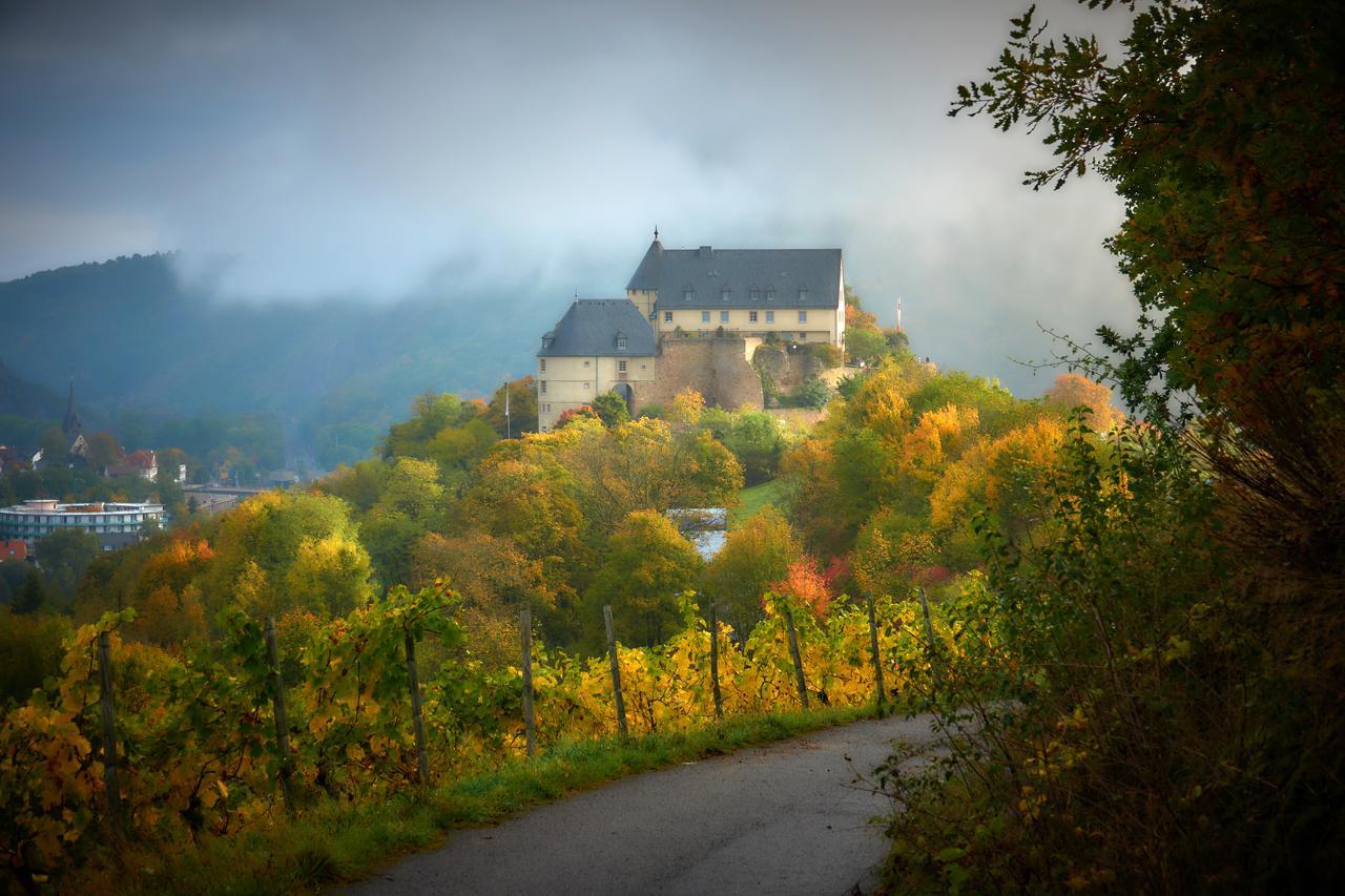 Ev.Familienferien-Und Bildungsstaette Ebernburg Hotel Bad Munster am Stein-Ebernburg Ngoại thất bức ảnh