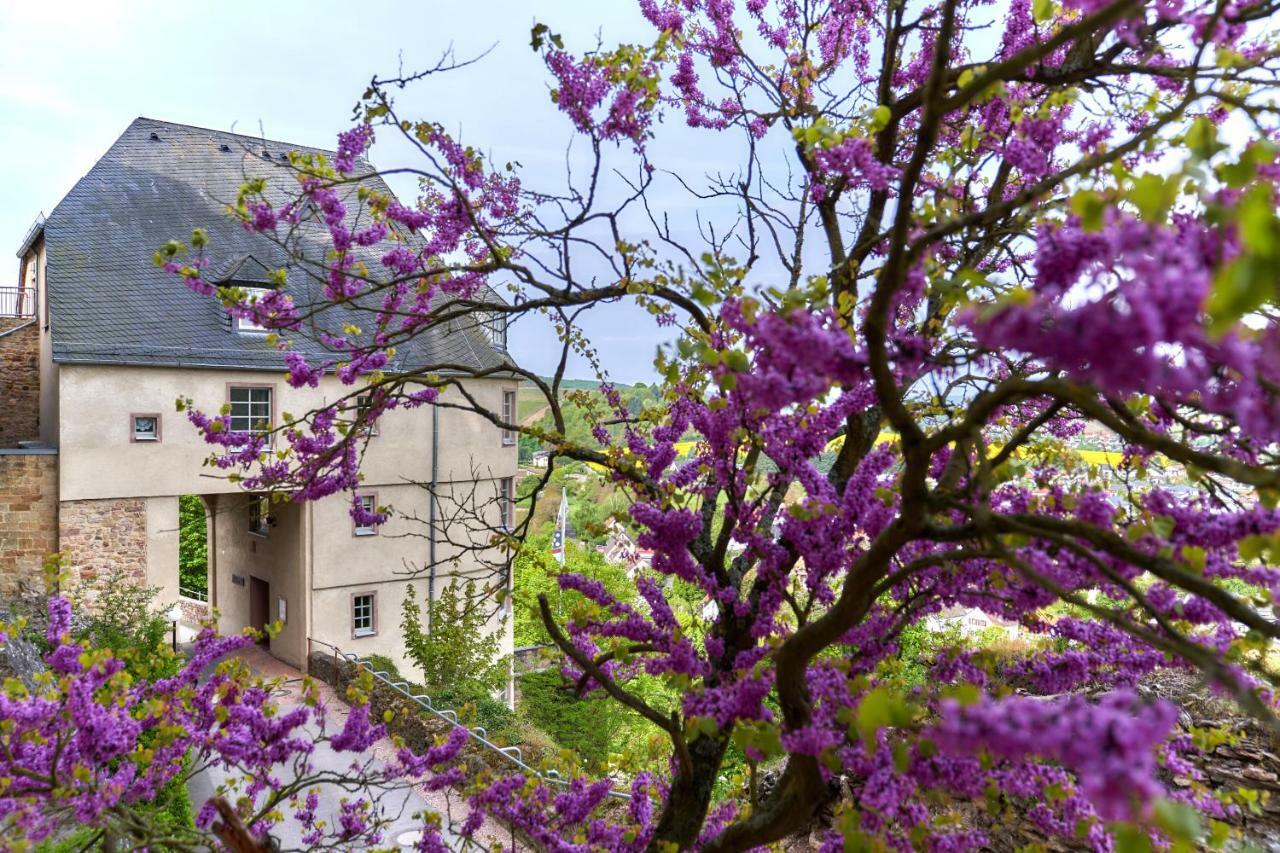 Ev.Familienferien-Und Bildungsstaette Ebernburg Hotel Bad Munster am Stein-Ebernburg Ngoại thất bức ảnh